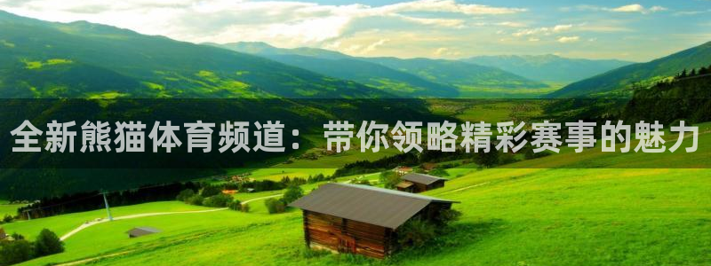 全新熊猫体育频道：带你领略精彩赛事的魅力